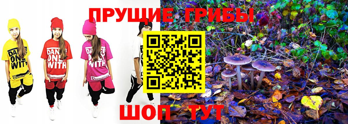 Галлюциногенные грибы прущие грибы Янаул